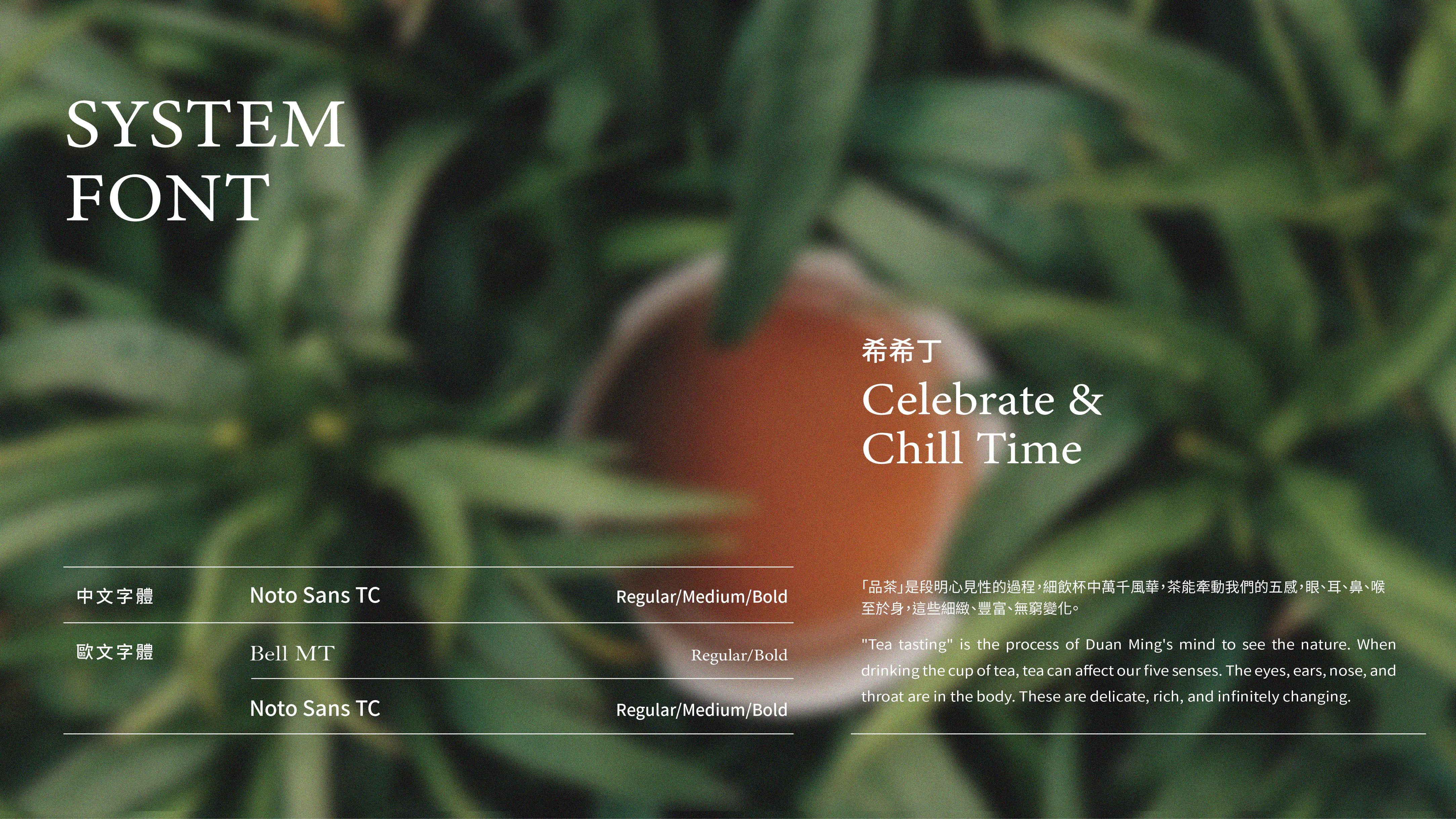 品牌識別設計-希希丁